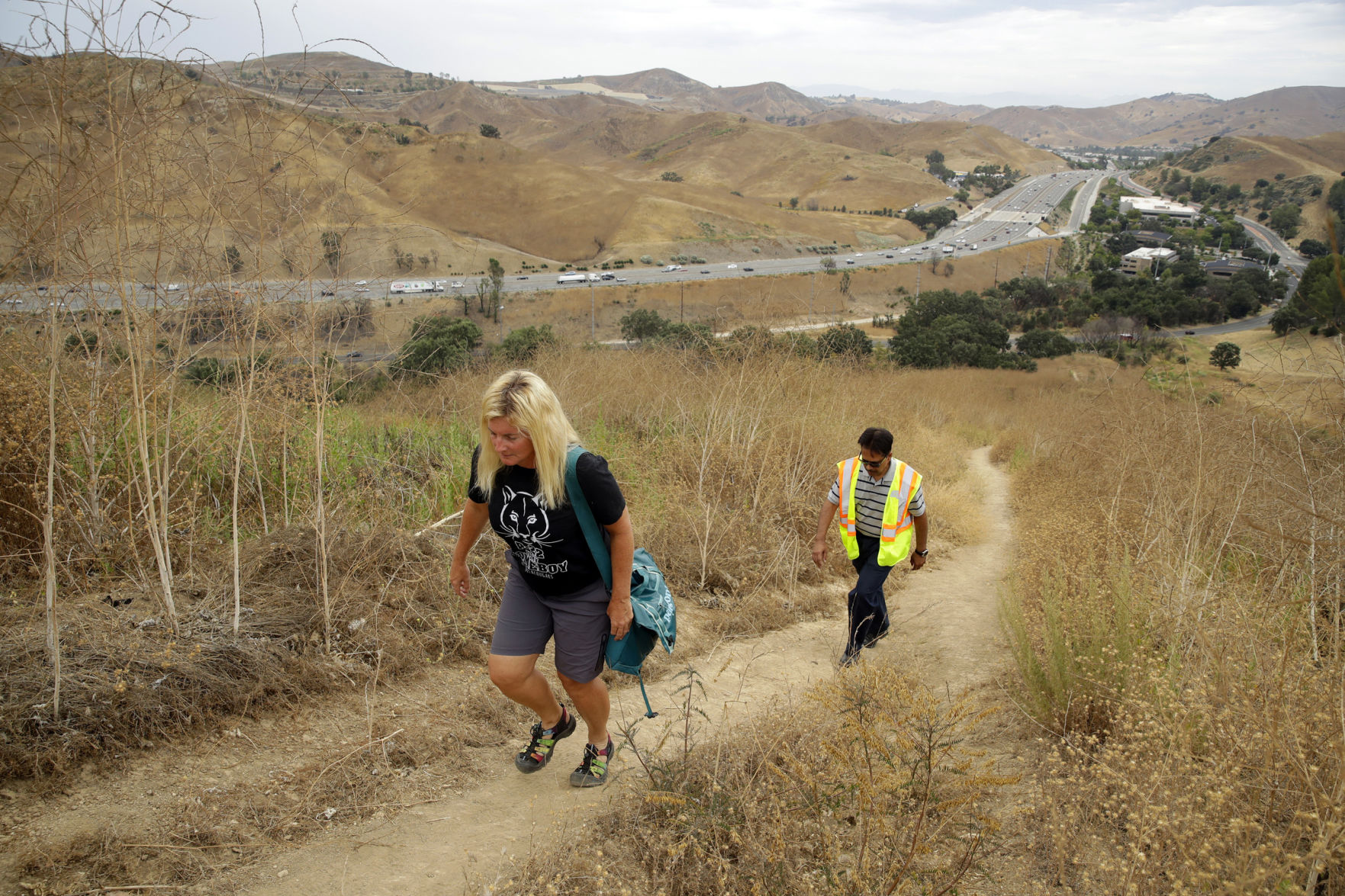 Wildlife Crossing Southern California